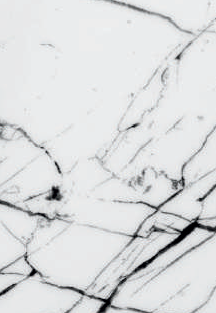 WHITE VENATO